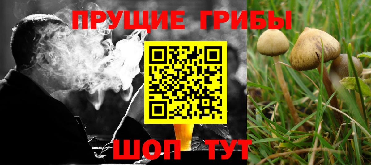 Псилоцибиновые грибы мухоморы  Вход с VPN  Зеленогорск 